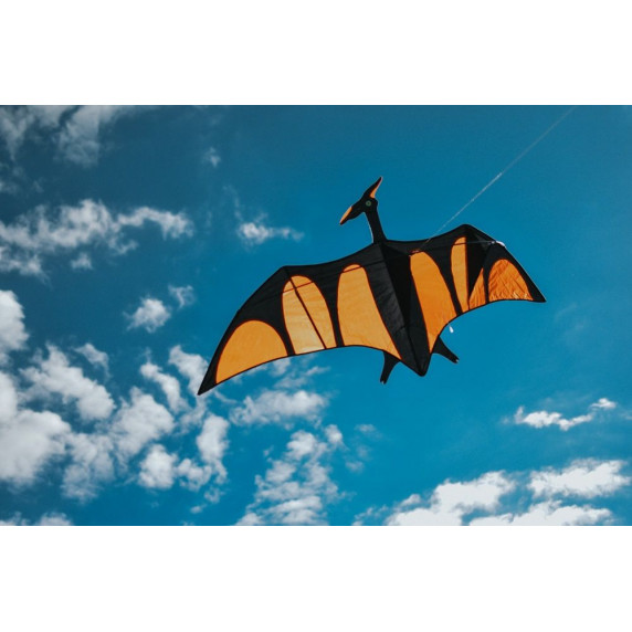 Zmeu din hârtie - dragon -  IMEX Dragon Kite