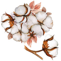 Autocolant perete - flori de bumbac L - SECRET GARDEN Cotton Large 
