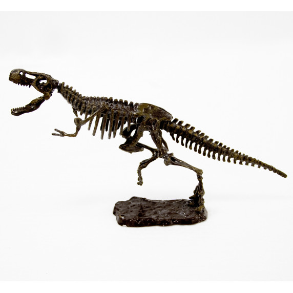 Set paleontolog - Aga4Kids T-Rex MR1387