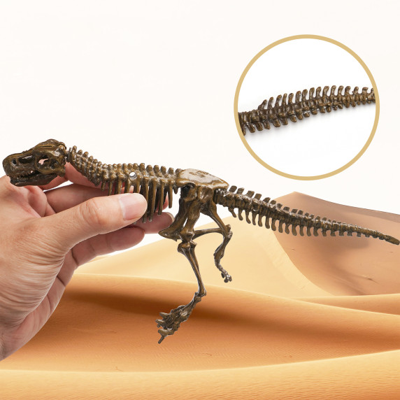 Set  paleontolog - T-Rex - Aga4Kids MR1445