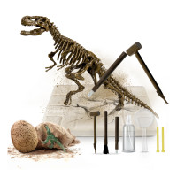 Set  paleontolog - T-Rex - Aga4Kids MR1445 