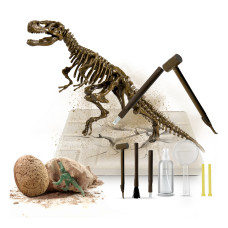 Set  paleontolog - T-Rex - Aga4Kids MR1445 Preview